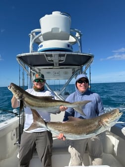 Fishing in Key West, Florida