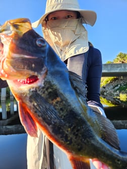 Fishing in Deerfield Beach, Florida