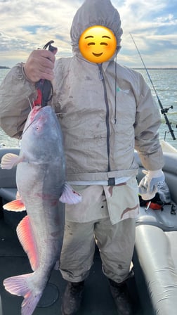 Fishing in Wylie, Texas