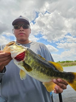 Fishing in Fort Lauderdale, Florida
