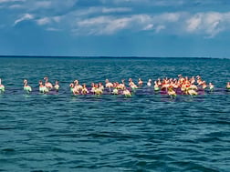 Fishing in Islamorada, Florida