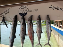 Fishing in Jupiter, Florida