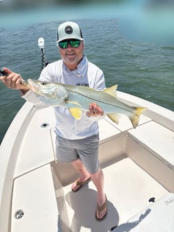 Fishing in Sarasota, Florida