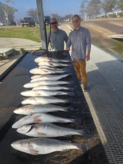 Fishing in Galveston, Texas