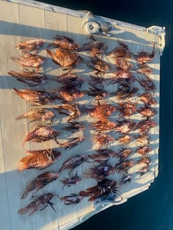 Fishing in Key West, Florida