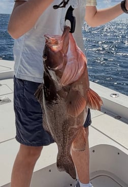 Fishing in Key Largo, Florida