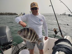 Fishing in Orange Beach, Alabama