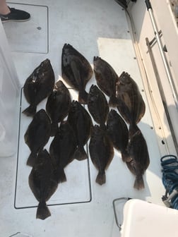 Fishing in Keyport, New Jersey