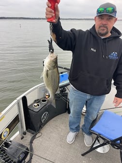 Fishing in Willis, Texas