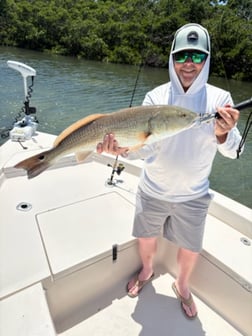 Fishing in Sarasota, Florida
