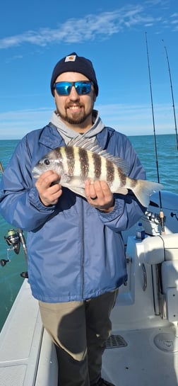 Fishing in Sarasota, Florida