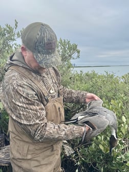 Hunting in South Padre Island, Texas