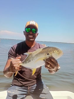 Fishing in Melbourne, Florida