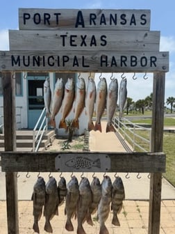 Fishing in Aransas Pass, Texas