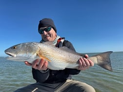 Fishing in Islamorada, Florida