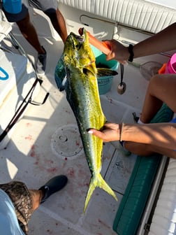 Fishing in Wrightsville Beach, North Carolina