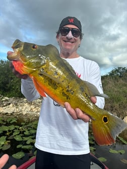 Fishing in Fort Lauderdale, Florida