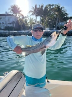 Fishing in Sarasota, Florida