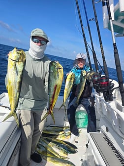 Fishing in Key Biscayne, Florida