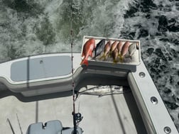 Fishing in Fort Lauderdale, Florida
