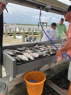 Fishing in Lake Charles, Louisiana