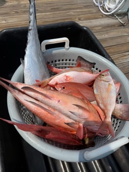Fishing in Panama City, Florida