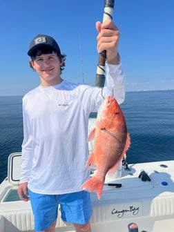 Fishing in Destin, Florida