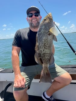 Fishing in St. Petersburg, Florida