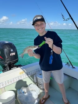 Fishing in Miami, Florida