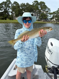 Fishing in Orange Beach, Alabama