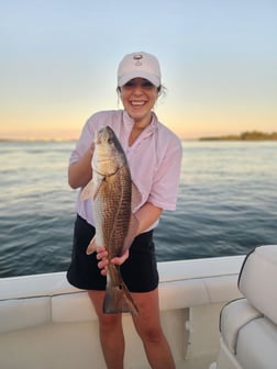 Redfish Fishing in