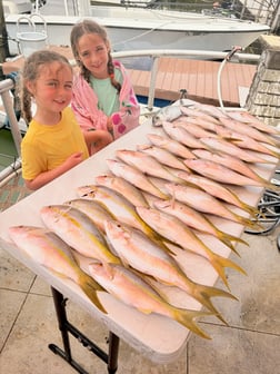 Fishing in Miami, Florida