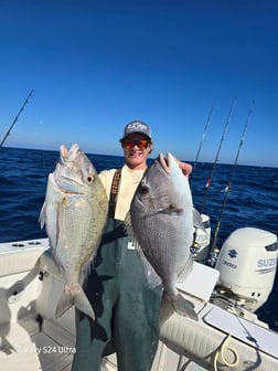 Fishing in Gulfport, Florida