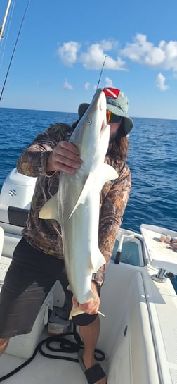 Fishing in Sarasota, Florida