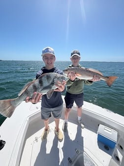 Fishing in Pensacola, Florida