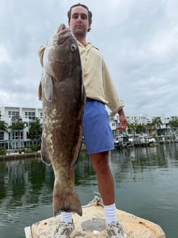 Fishing in Miami, Florida