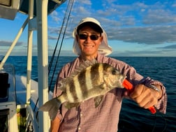 Fishing in St. Petersburg, Florida