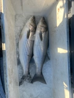 Fishing in Rogers, Arkansas