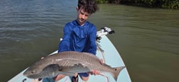 Fishing in Naples, Florida