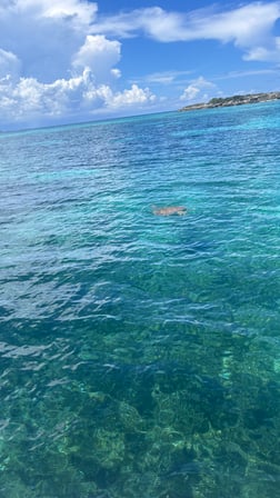 Fishing in Nassau, The Bahamas