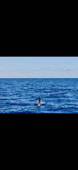 Fishing in Wharton, Texas