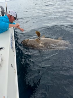 Fishing in Panama City Beach, Florida
