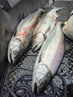 Fishing in Kalama, Washington