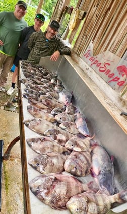 Fishing in D'Iberville, Mississippi