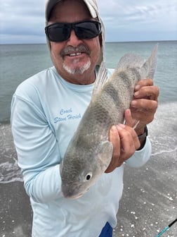 Fishing in Sarasota, Florida