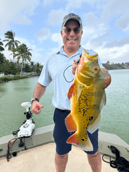 Fishing in Miami, Florida