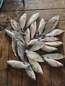 Fishing in Kingston, Oklahoma
