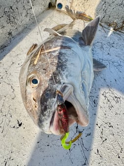 Fishing in South Padre Island, Texas