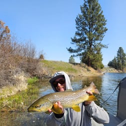 Fishing in Bozeman, Montana