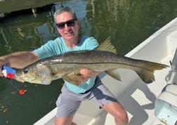 Snook Fishing in St. Petersburg, Florida